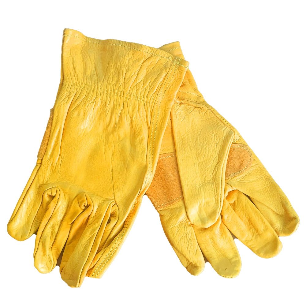 Gold Leather Driver Gloves
