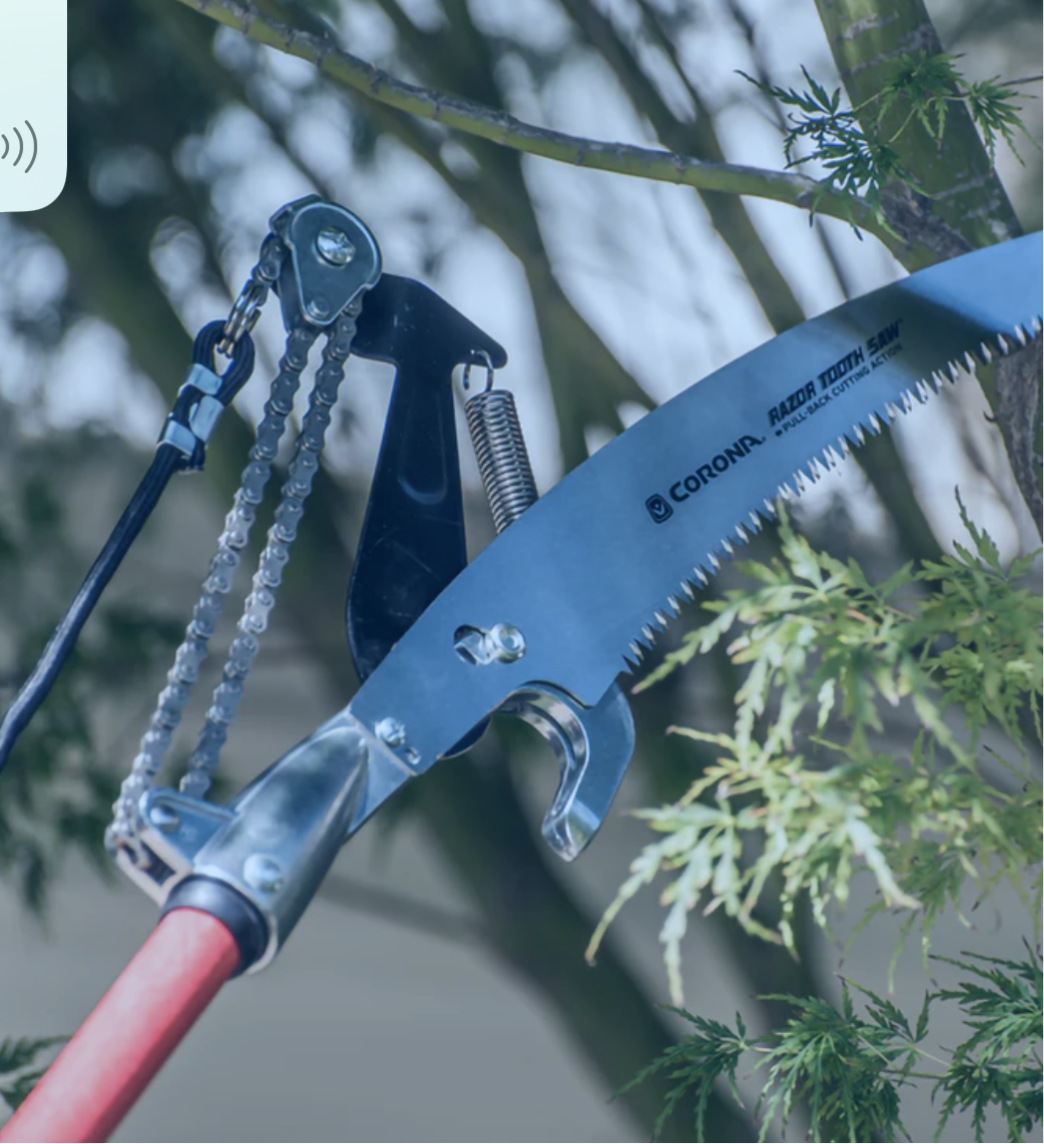DUAL COMPOUND-ACTION TREE PRUNER WITH RAZORTOOTH SAW™ BLADE, 14 FT.