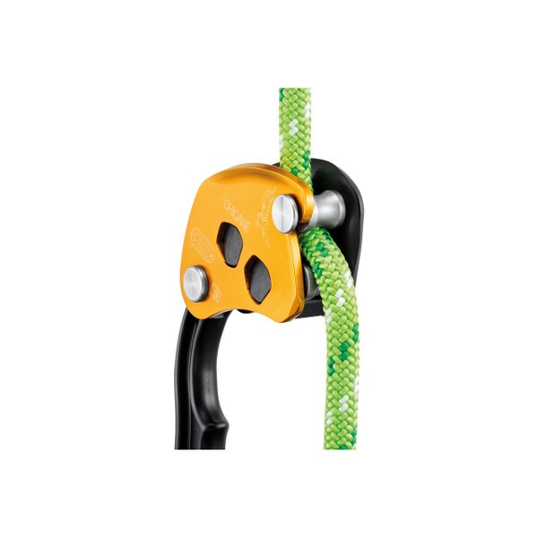Petzl Chicane Auxillary Brake
