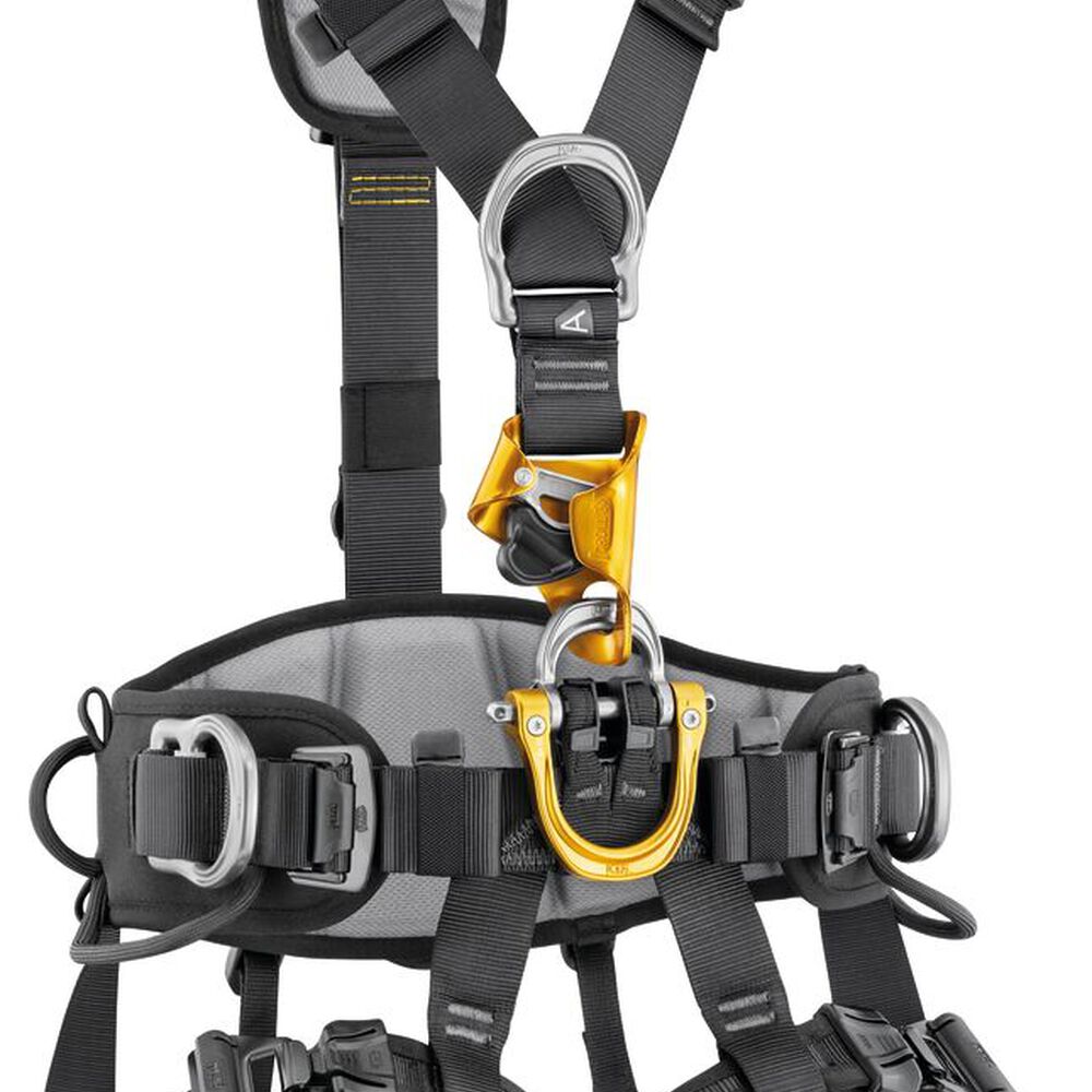 Petzl ASTRO INTERNATIONAL Harness