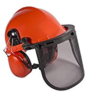 Safety Helmet with Ear Muffs & Face Shield | All-in-One Head Protection SKU: PSH001TL2