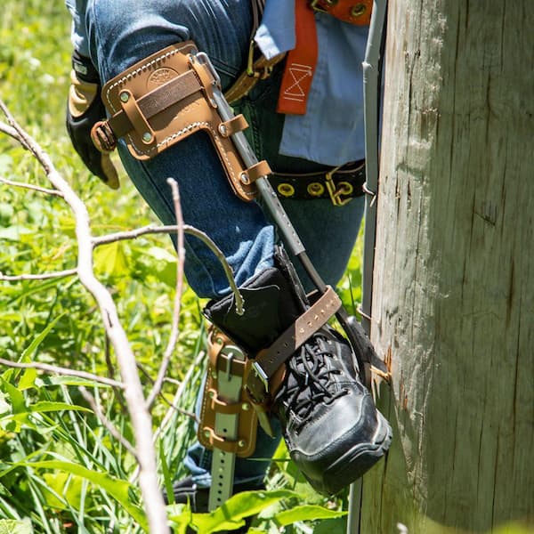 Tree Climber Set 2-3/4-Inch Gaffs, 15 to 19-Inch