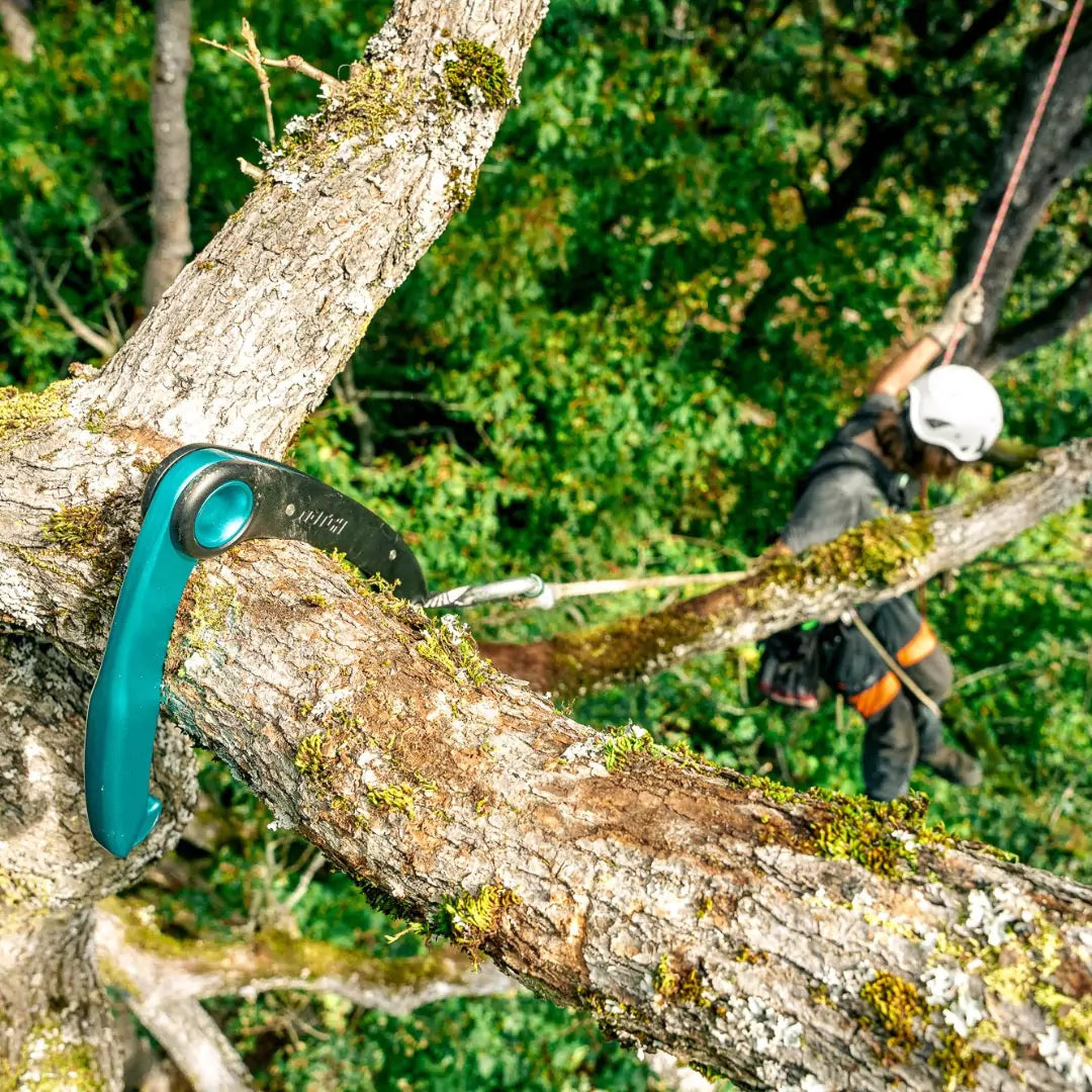Notch Grapple