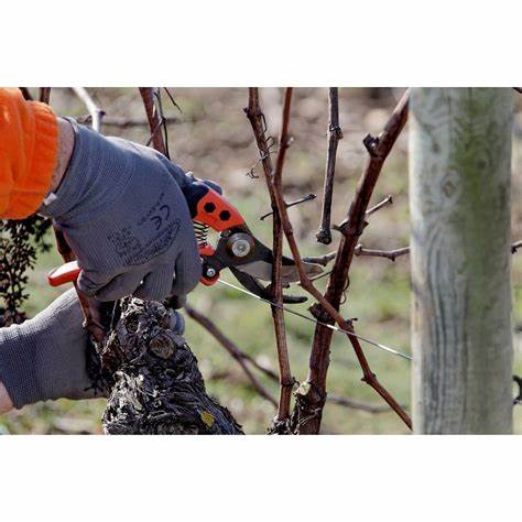 Bahco PX-L3 Ergo Pruner