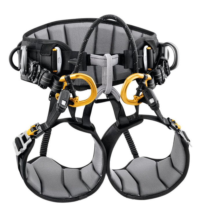 Climbing Harness