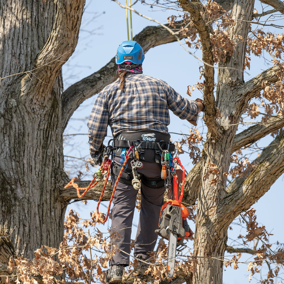 Arborist climbing in the Weaver Cougar WLC-700 saddle