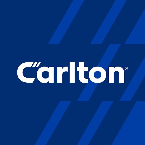 Carlton Electric Bench Chain Grinder, Complete
