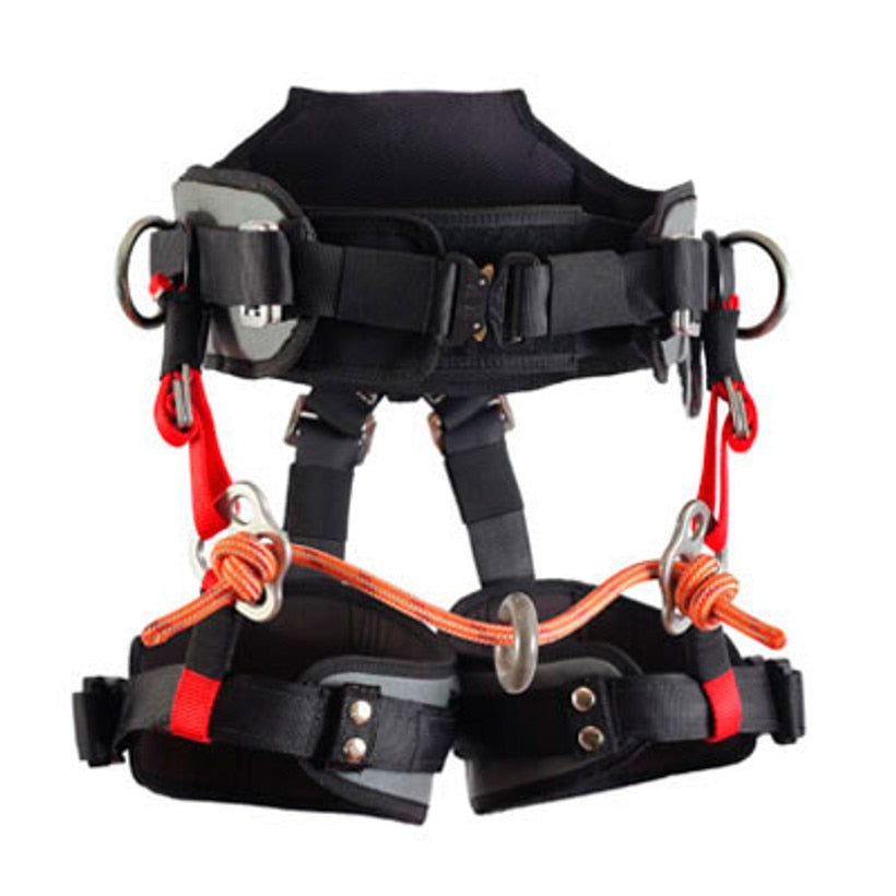Buckingham Ergovation Ergonomic Saddle