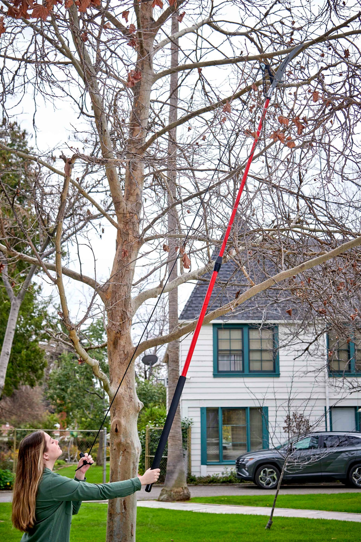 Corona Dual Compound-Action Tree Pruner - 12 ft (TP6830)