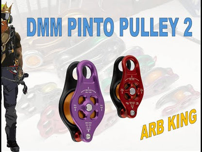 DMM Pinto 2 Pulley