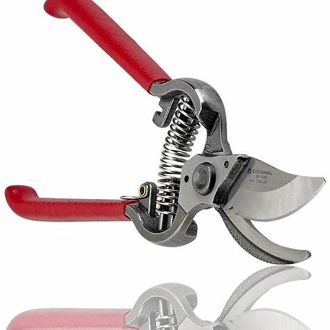 Corona BP 3180 ClassicCUT® Bypass Pruner – Professional Branch & Stem Pruning Shears